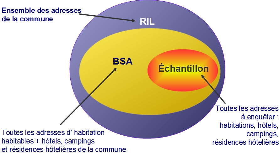 1.2.3-RIL-BSA-echant.jpg